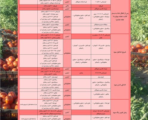 عناصر پر مصرف تغذیه گیاهان جدول پیشنهادی تغذیه گوجه فضای باز