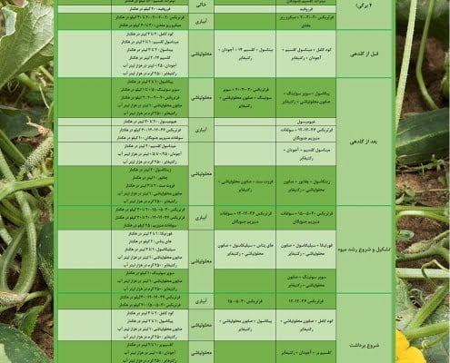 عناصر پر مصرف تغذیه گیاهان - جدول پیشنهادی تغذیه خیار فضای باز